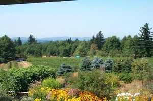 Klock Farm and Nursery