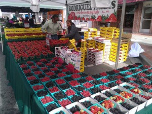 Rodriguez Farms