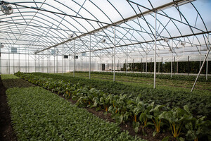 Green Wagon Farm