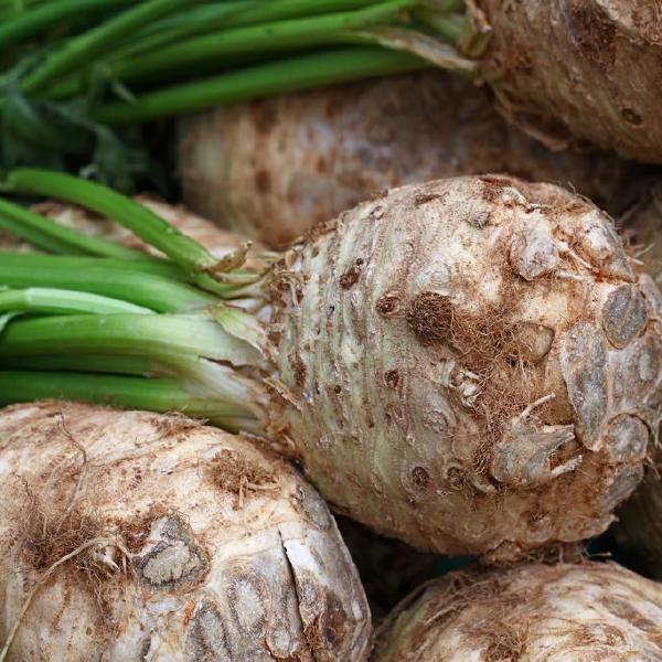 celery root
