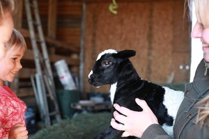Farm One Forty
