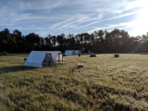 Lillian Lee Farm LLC