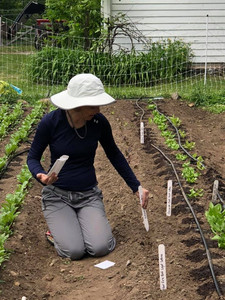 Down to Earth CSA
