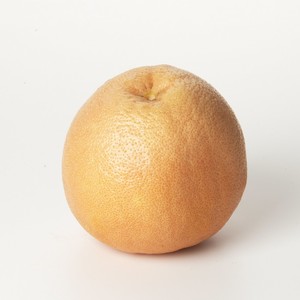 LocalHarvest