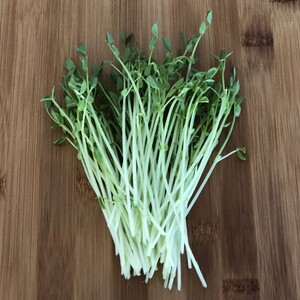 City Side Organics