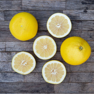 Frog Hollow Farm CSA