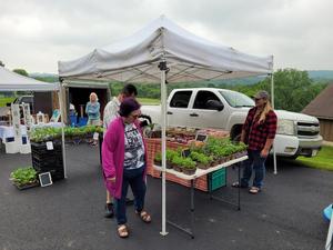 The Territory Farmers Market