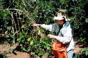 Olinda Organic Farm