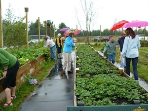 Zachariah's Acres
