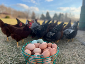 The Goodlife Farm