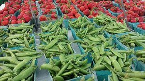 Geneva Lakes Produce