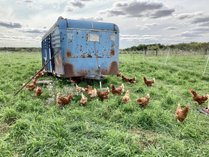 West Fork Farmstead