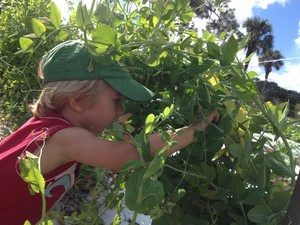 Inyoni Organic Farm