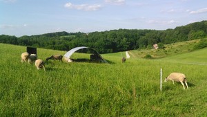 BlueLand Farm