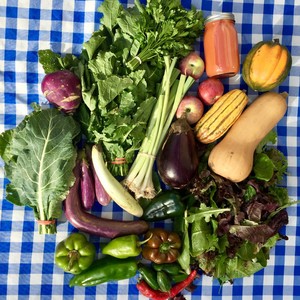 Simpaug Farms