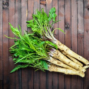 Pine Hollow Farms LLC
