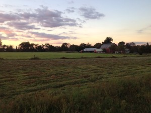 Durham Glen Farm
