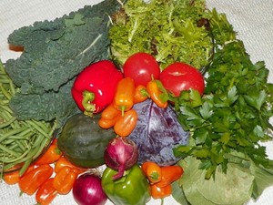 Spiral Path Farm