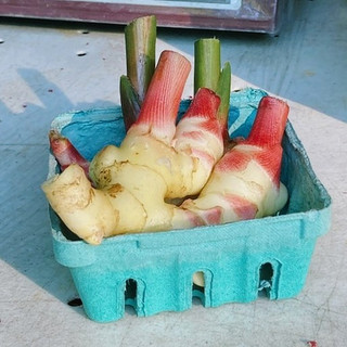 Harvest Tide Organics