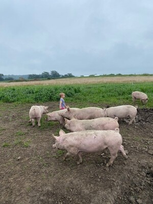 Procter Center Farm
