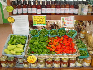 Scholz Farm and Garden