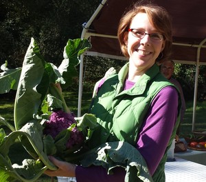 Shipki Farm Organics - CSA