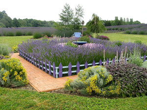Sequim Lavender Farmers Association
