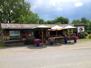 Staron Farm