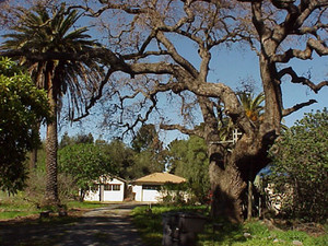 Butcher Ranch