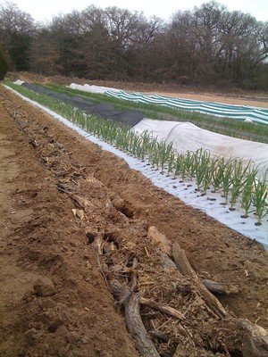 Rose Creek Farms Cooperative