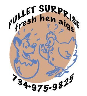 Pullet Surprise Fresh Hen Aigs