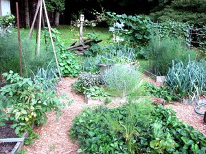 Seven Springs Farm