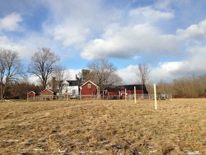Ten Barn Farm