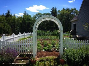 Winterberry Farm