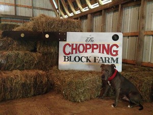 Chopping Block Farm