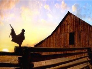 DND Farm