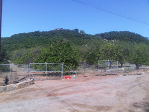 Davis Farms