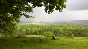 Kindred Hill Farm