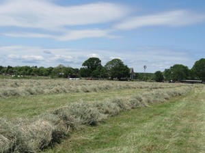 Browning Homestead Farm