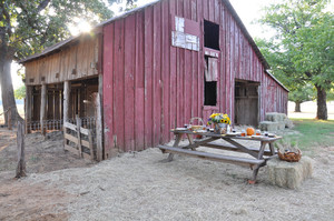 The Farm