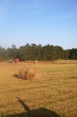 M. C. Cannon Farms