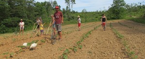 Living Energy Farm