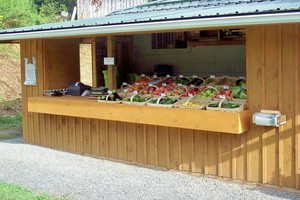 Silver Maples Farm