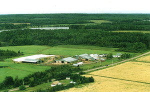 Pinnacle Farms