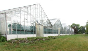 Prince Greenhouses