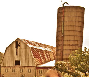 The Schul Farm