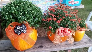 Anawan Farm