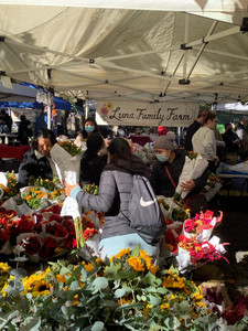 Down to Earth Morningside Park Farmers Market