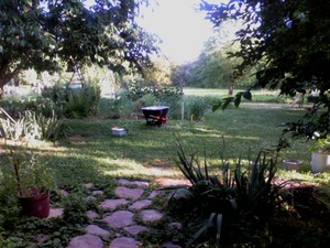 Dawn's CSA