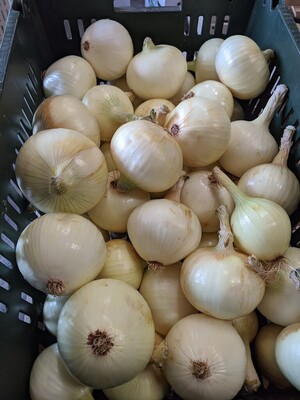 Chippewa Valley Produce LLC